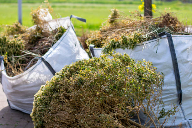 Best Same-Day Junk Removal  in San Buenaventura, CA
